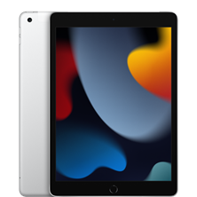 Apple iPad 10.2 (2021) 256GB Wifi+Cellular (Silver) USA spec MK6A3LL/A