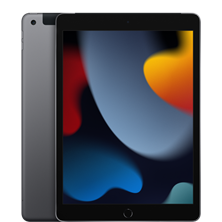 Apple iPad 10.2 (2021) 256GB Wifi+Cellular (Space Grey) USA spec MK693LL/A